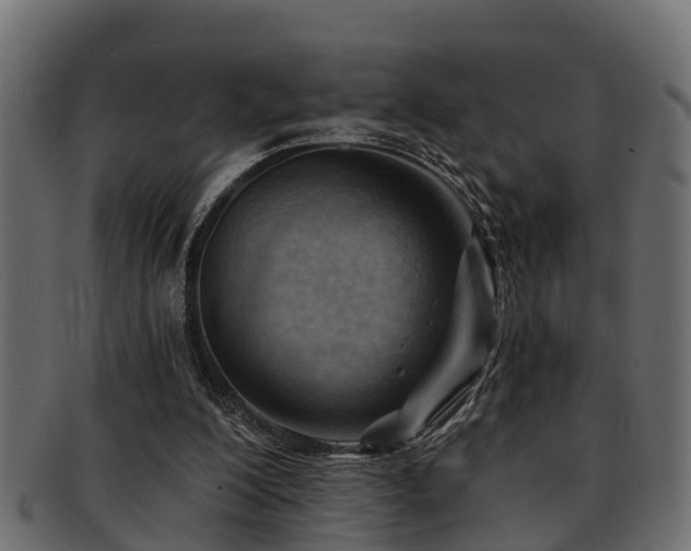 X0000093110200200709261257