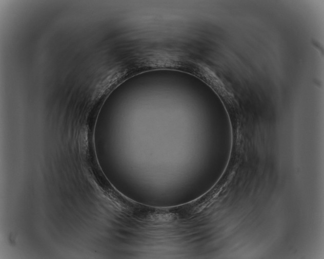 X0000093110202200709261257