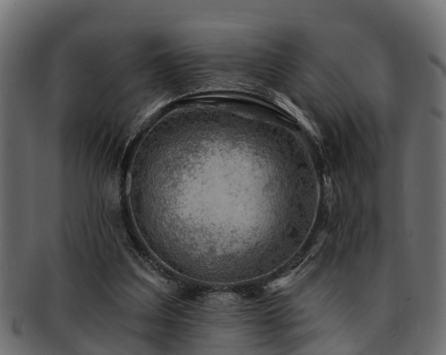 X0000093110203200709261257