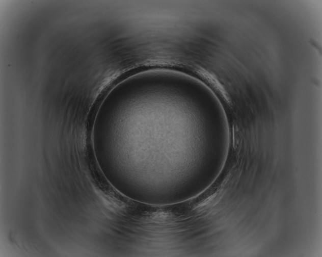 X0000093110204200709261257