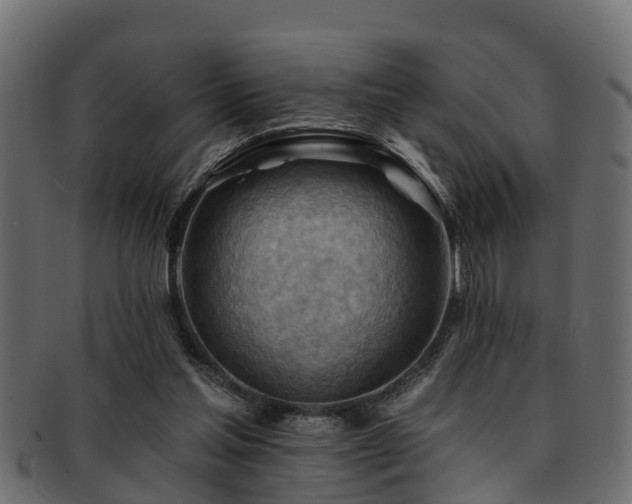 X0000093110205200709261257