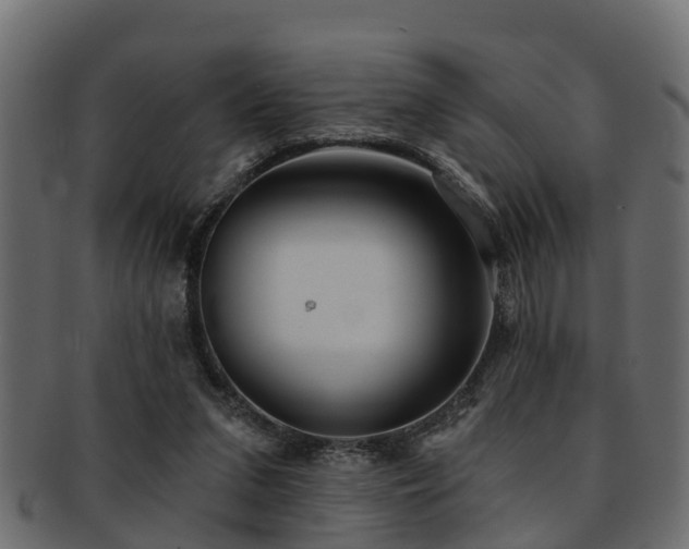 X0000093110207200709261257