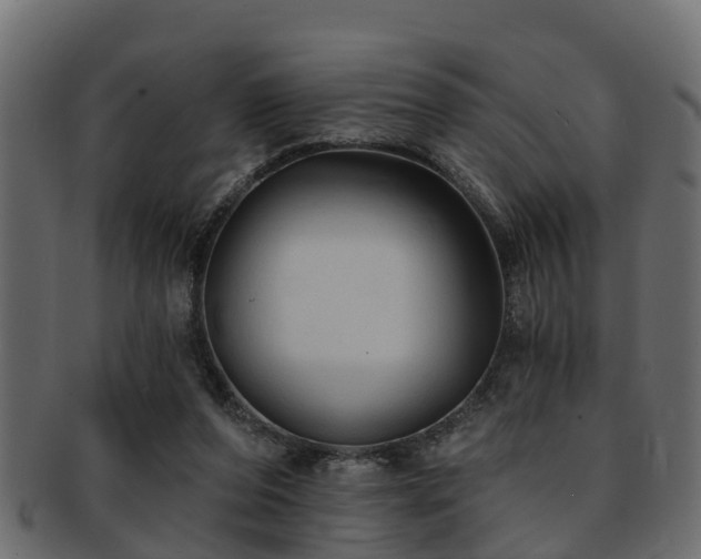 X0000093110208200709261257