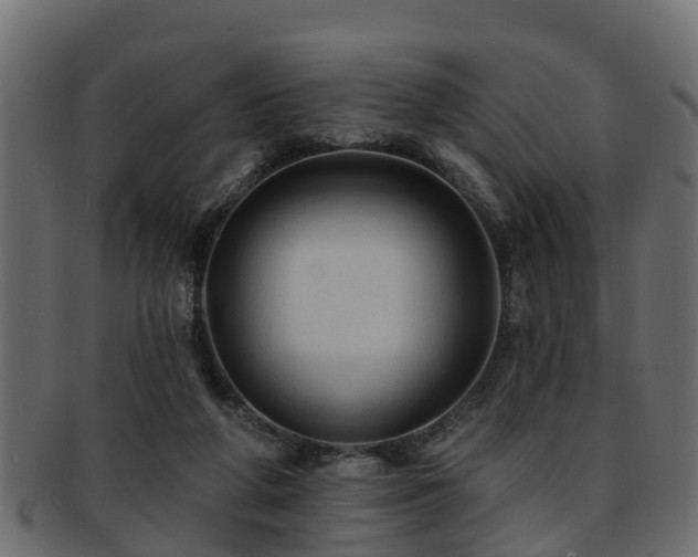 X0000093110210200709261257