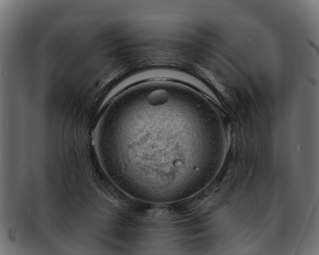 X0000093110211200709261257
