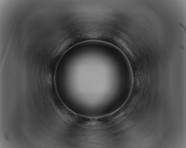 X0000093110212200709261257