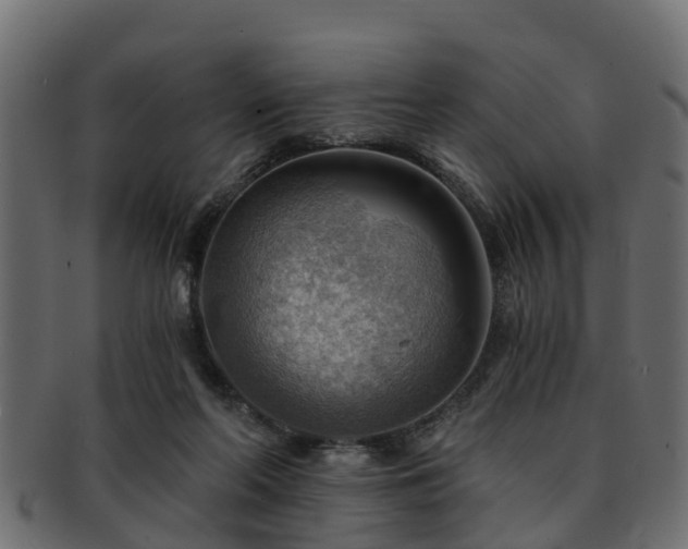 X0000093110214200709261257