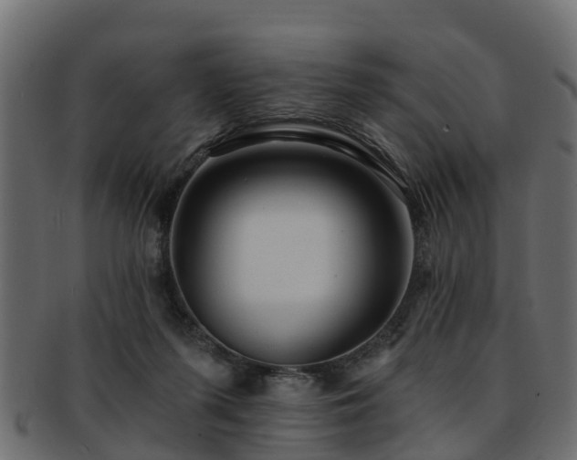 X0000093110215200709261257