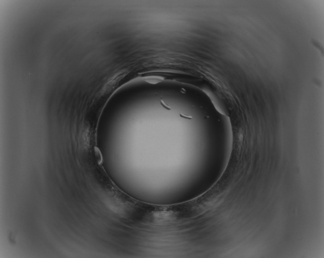 X0000093110216200709261257