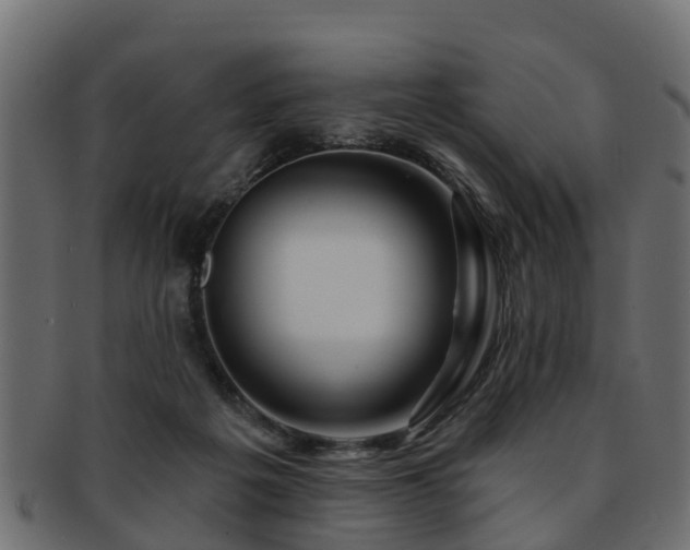 X0000093110217200709261257