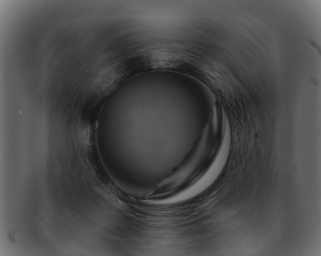 X0000093110219200709261257