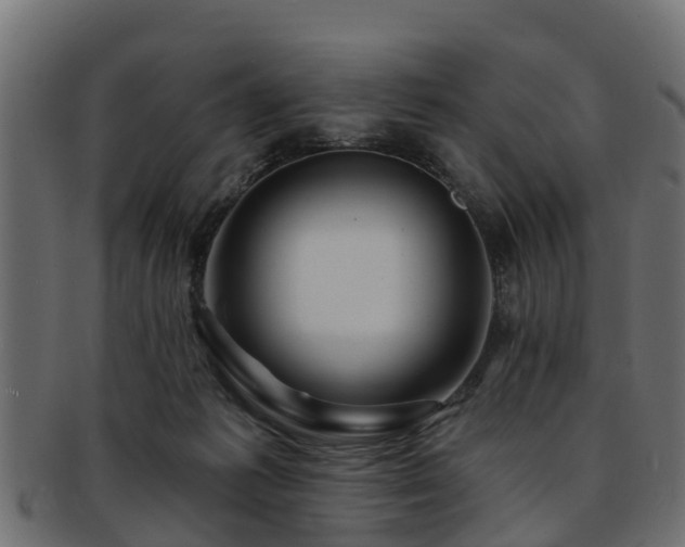 X0000093110221200709261257