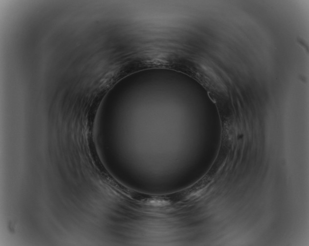 X0000093110223200709261257