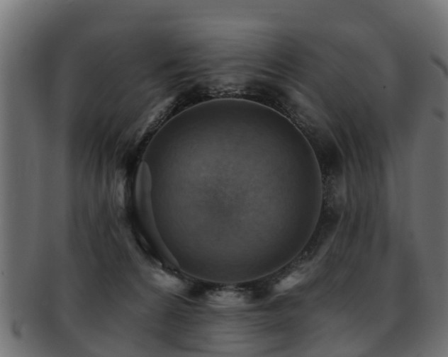 X0000093110224200709261257