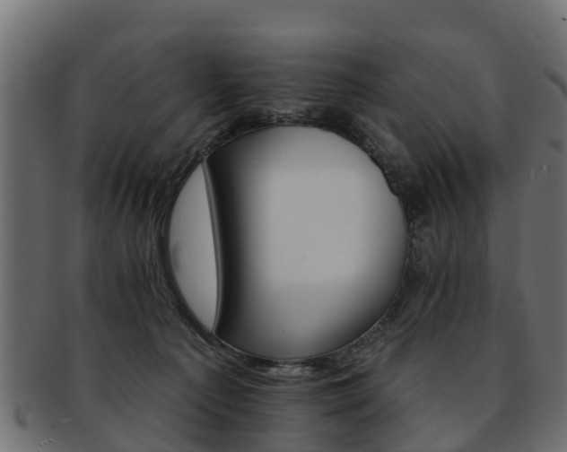 X0000093110225200709261257