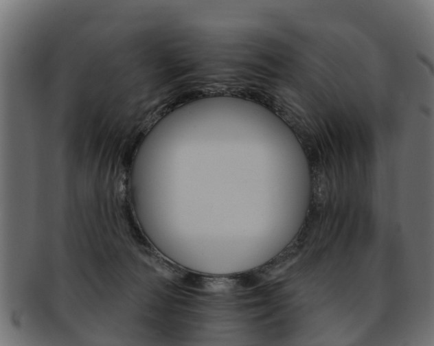 X0000093110226200709261257