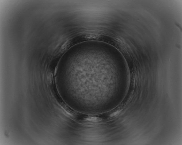 X0000093110227200709261257