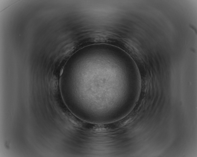 X0000093110228200709261257