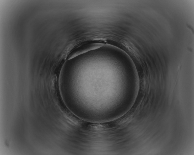 X0000093110229200709261257