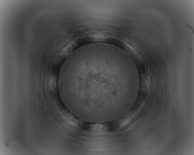 X0000093110230200709261257