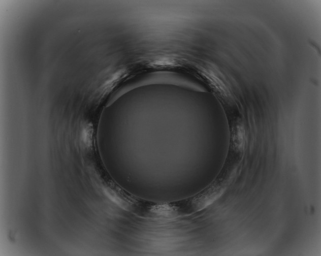 X0000093110231200709261257
