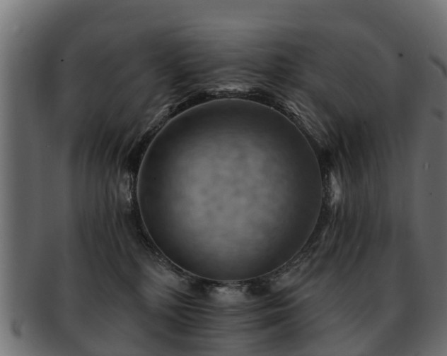 X0000093110232200709261257