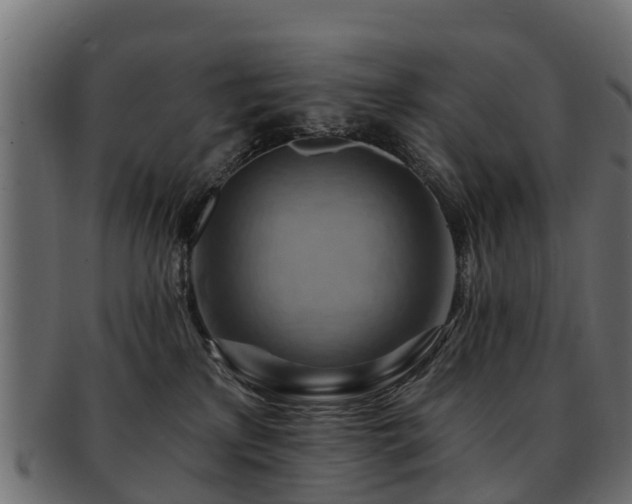 X0000093110233200709261257
