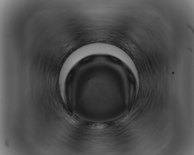 X0000093110235200709261257