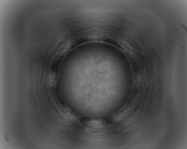 X0000093110236200709261257