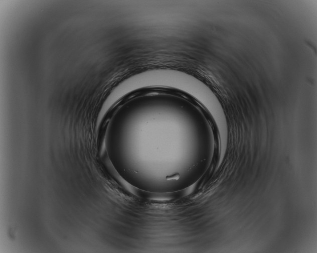 X0000093110237200709261257