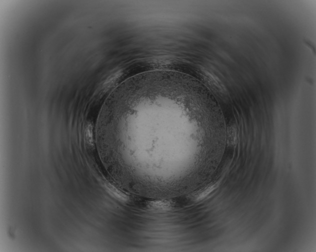 X0000093110238200709261257