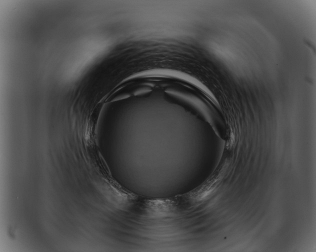 X0000093110239200709261257