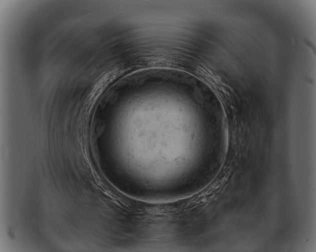 X0000093110241200709261256