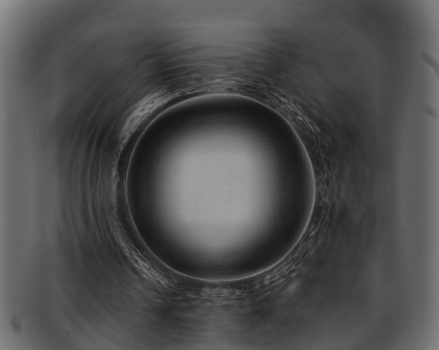 X0000093110242200709261256