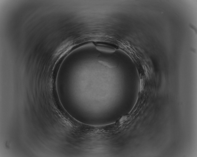 X0000093110243200709261256