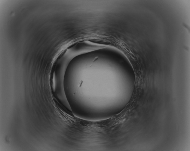 X0000093110244200709261256