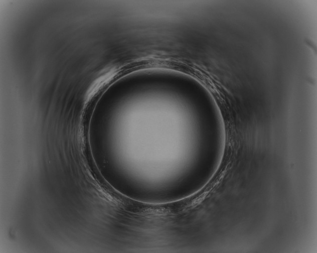 X0000093110245200709261256