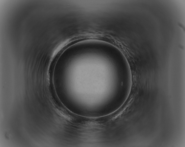 X0000093110246200709261256