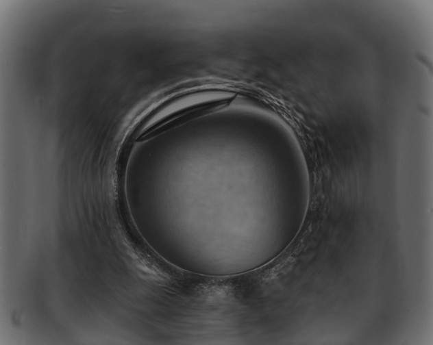 X0000093110247200709261256