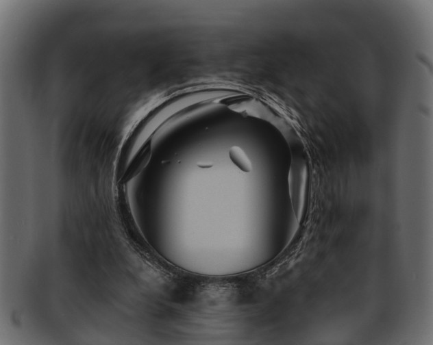 X0000093110248200709261256