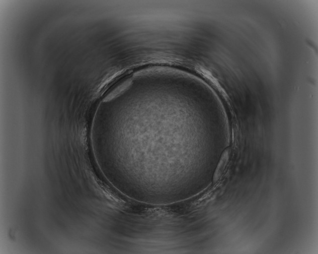 X0000093110249200709261256