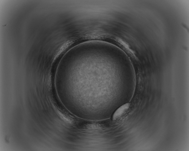 X0000093110250200709261256
