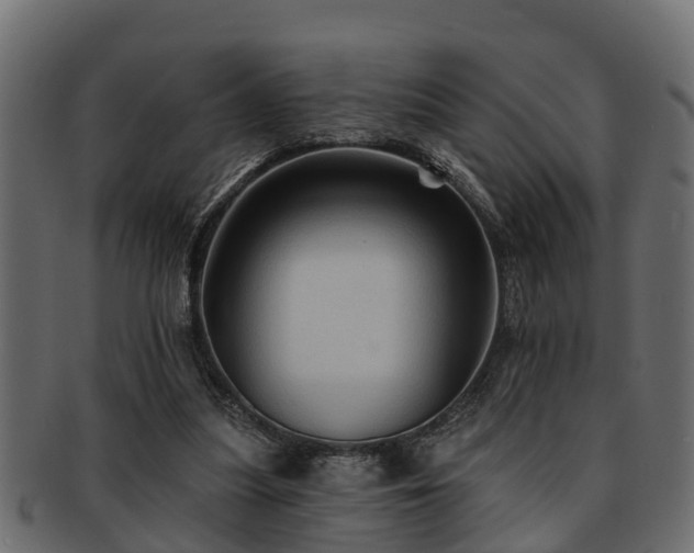 X0000093110251200709261256