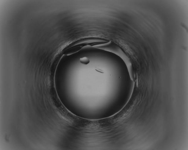 X0000093110252200709261256