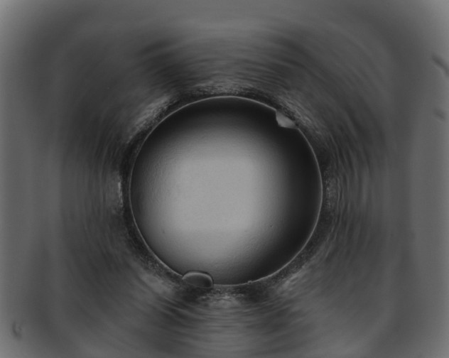 X0000093110254200709261256