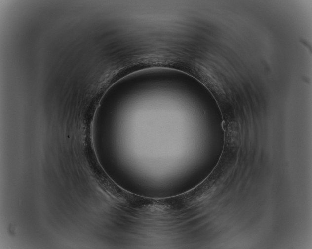 X0000093110255200709261256