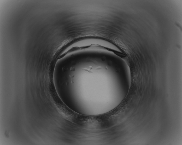 X0000093110256200709261256