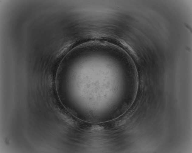 X0000093110257200709261256