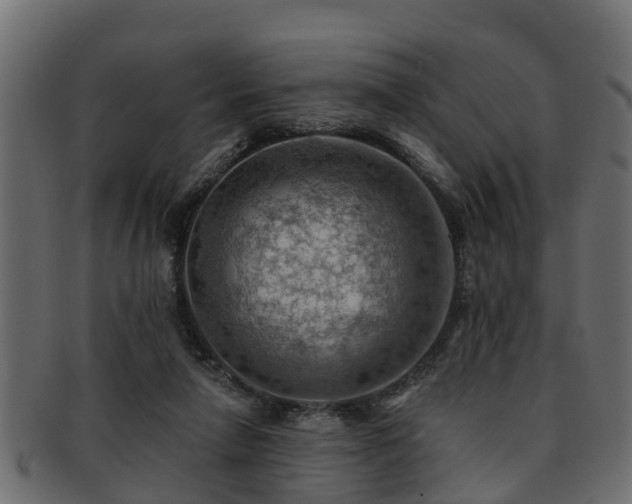 X0000093110258200709261256