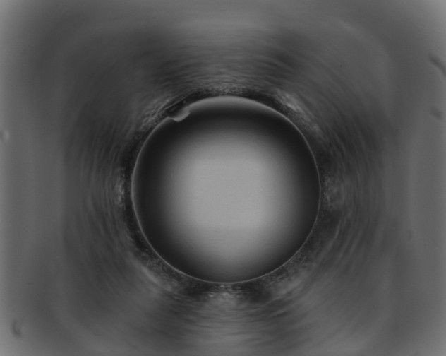 X0000093110259200709261256